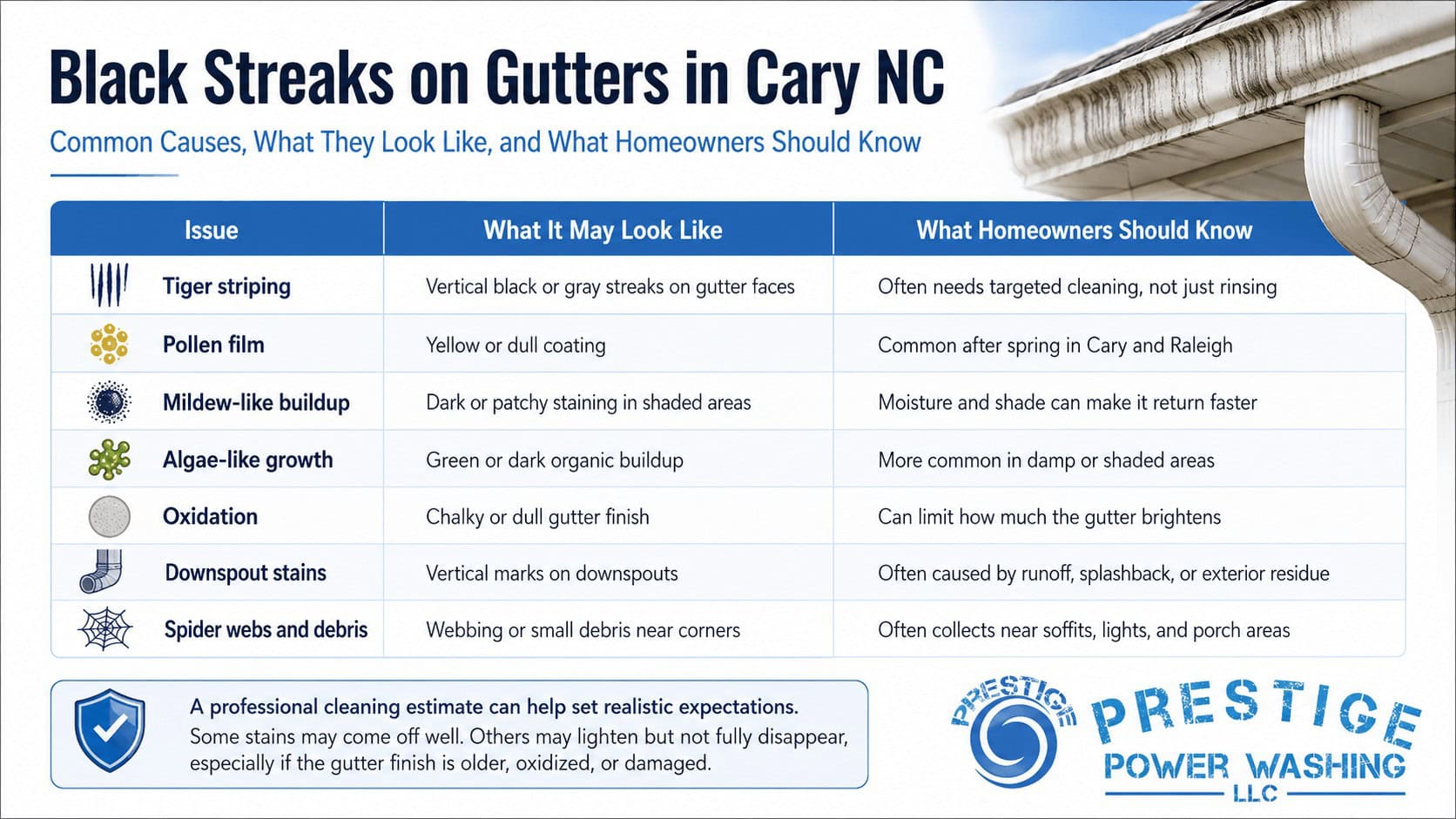 Infographic about common gutter stains and buildup in Cary NC, including tiger striping, pollen film, mildew-like buildup, algae-like growth, oxidation, downspout stains, and spider webs and debris.