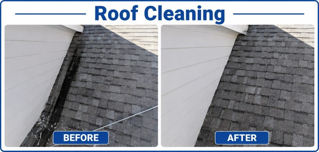 Before and after roof cleaning showing black streaks and organic buildup removed from asphalt shingles in Raleigh and Cary, NC